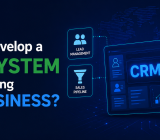 How to Develop a CRM System for a Growing B2B Business